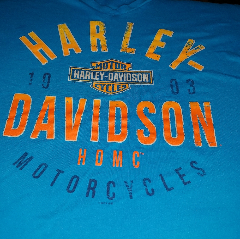 COPY - Plus Size 3X Harley Davidson Women's V Neck Tee